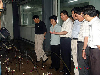 中国·KY开元(集团)有限公司-OfficialWebsite