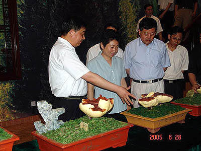 中国·KY开元(集团)有限公司-OfficialWebsite