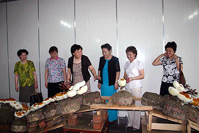 中国·KY开元(集团)有限公司-OfficialWebsite 中国·KY开元(集团)有限公司-OfficialWebsite