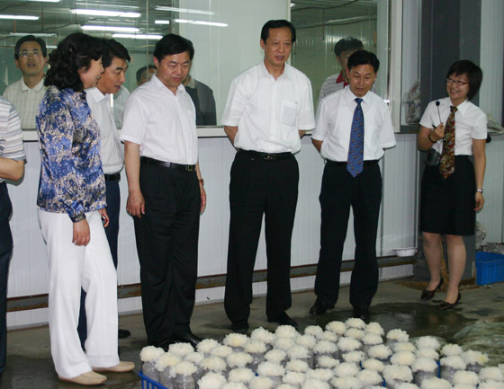 中国·KY开元(集团)有限公司-OfficialWebsite 中国·KY开元(集团)有限公司-OfficialWebsite