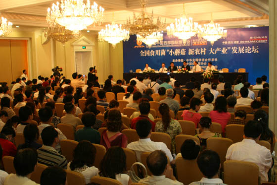 中国·KY开元(集团)有限公司-OfficialWebsite 中国·KY开元(集团)有限公司-OfficialWebsite